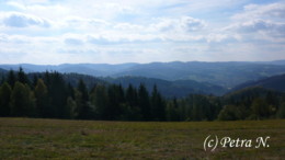 P1520825.JPG