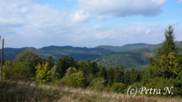 P1520866.JPG